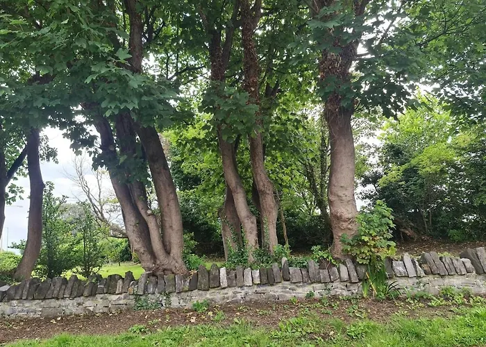 Magical Gate On Coast